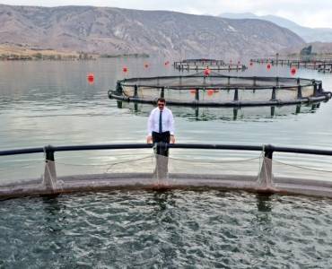 Turquía un país enfocado en la acuicultura para la exportación con bajo consumo de pescado