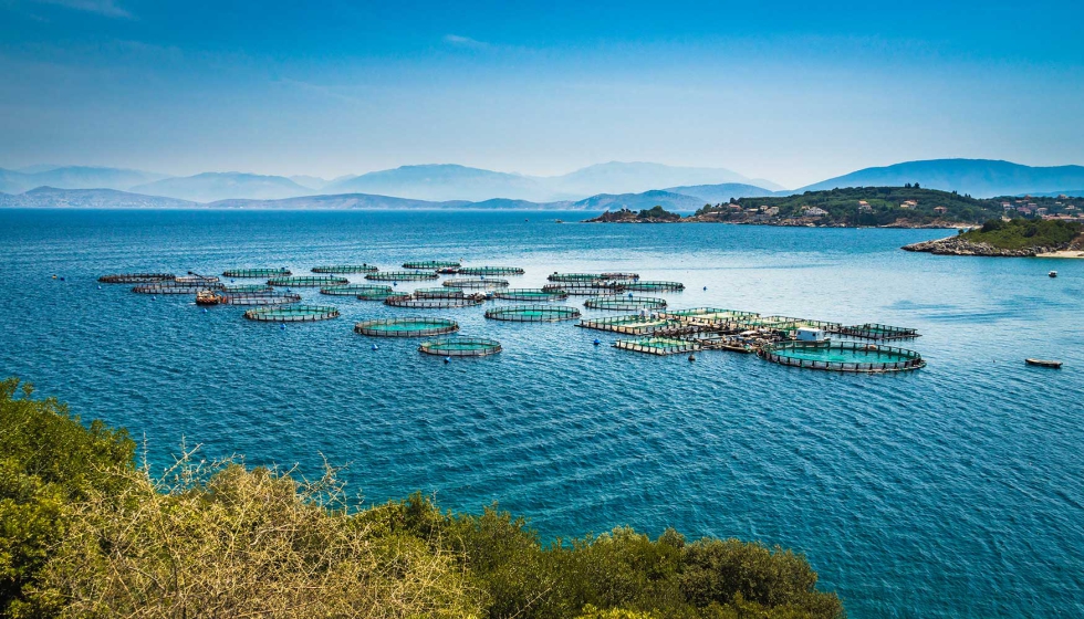 Acuicultura multitrófica integrada (IMTA): el paradigma sostenible de los cultivos marinos