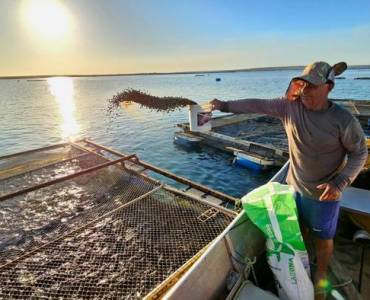 La acuicultura en la Amazonía promueve la seguridad alimentaria con menos impacto que la ganadería