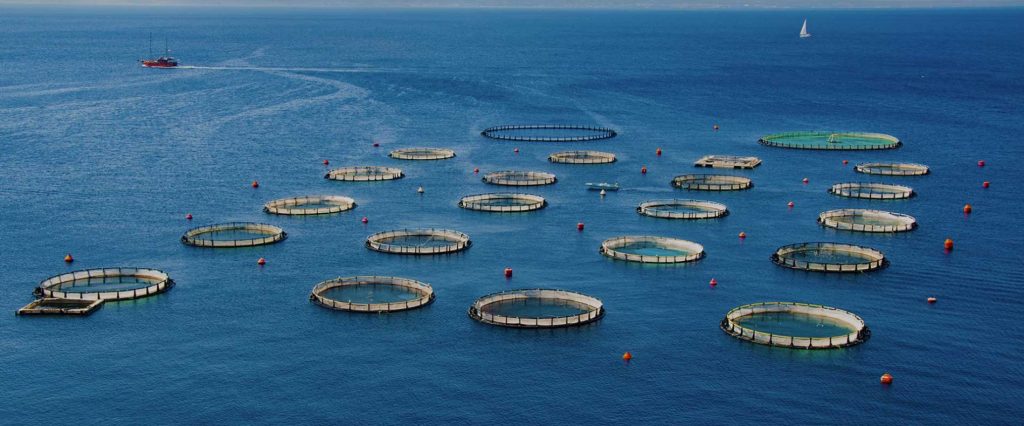 Perspectivas críticas sobre la acuicultura—editorial