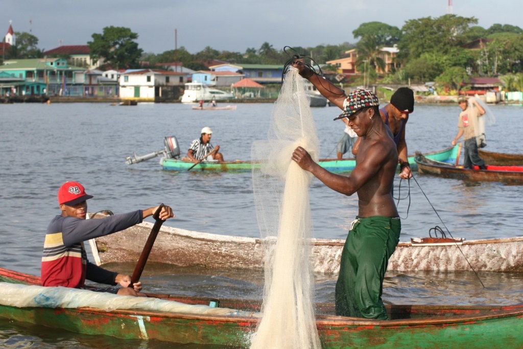 Pesca y acuicultura lideraron metas productivas en 2024-2025
