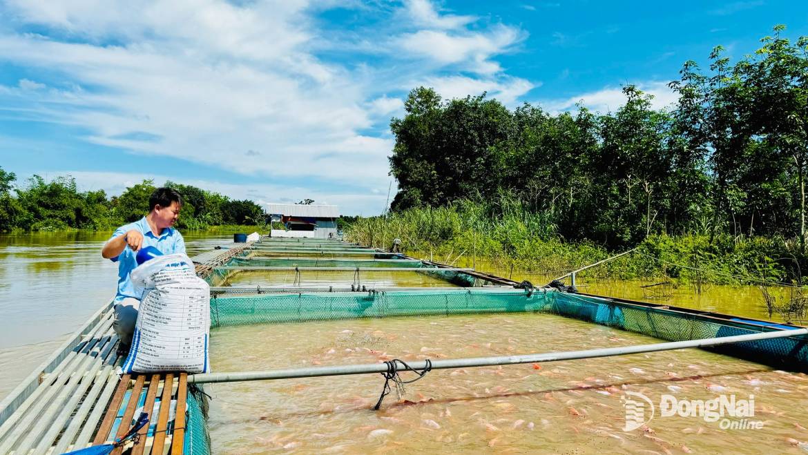 La acuicultura mantiene un alto ritmo de crecimiento