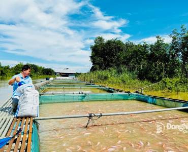 La acuicultura mantiene un alto ritmo de crecimiento