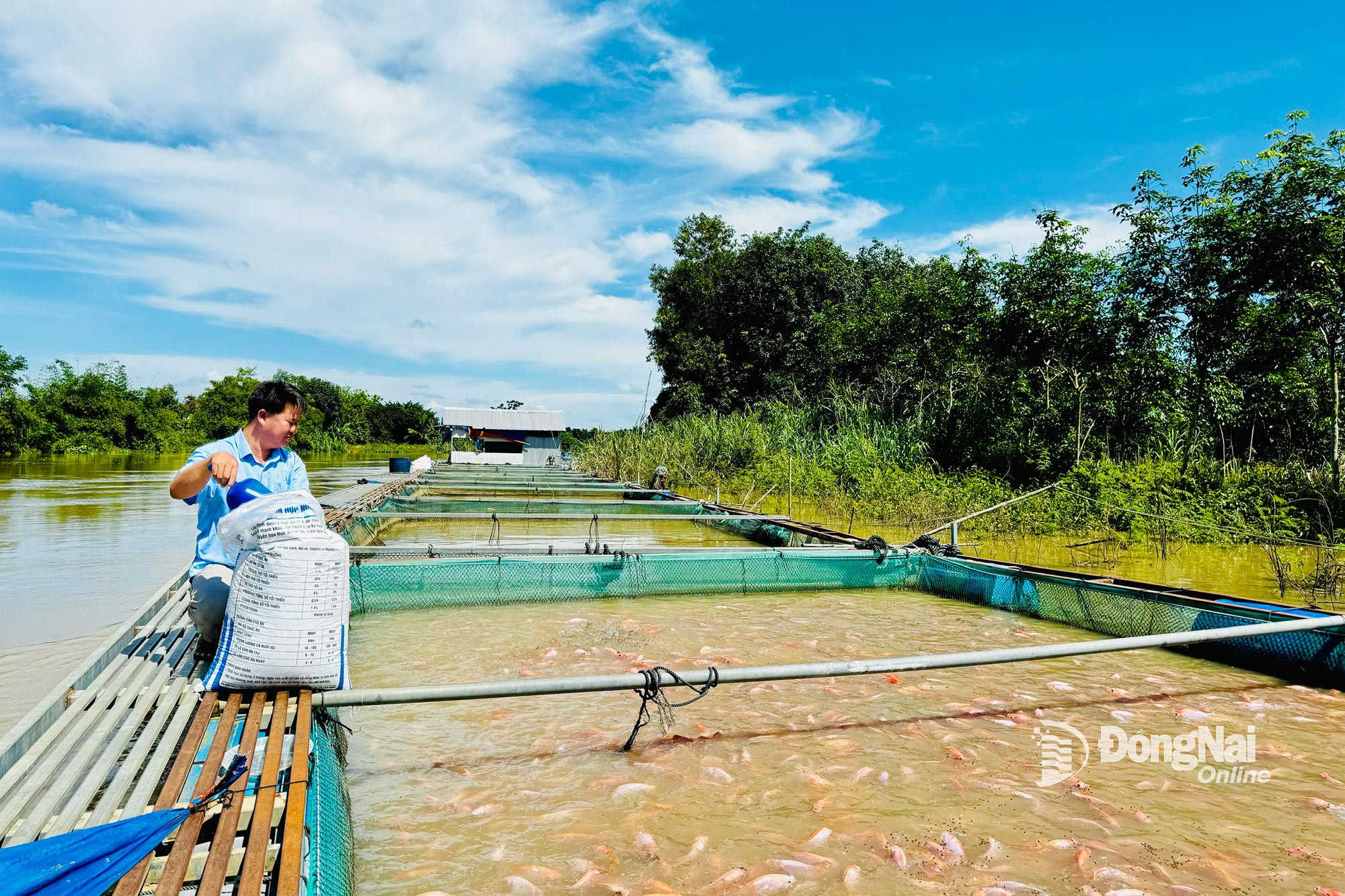 La acuicultura mantiene un alto ritmo de crecimiento