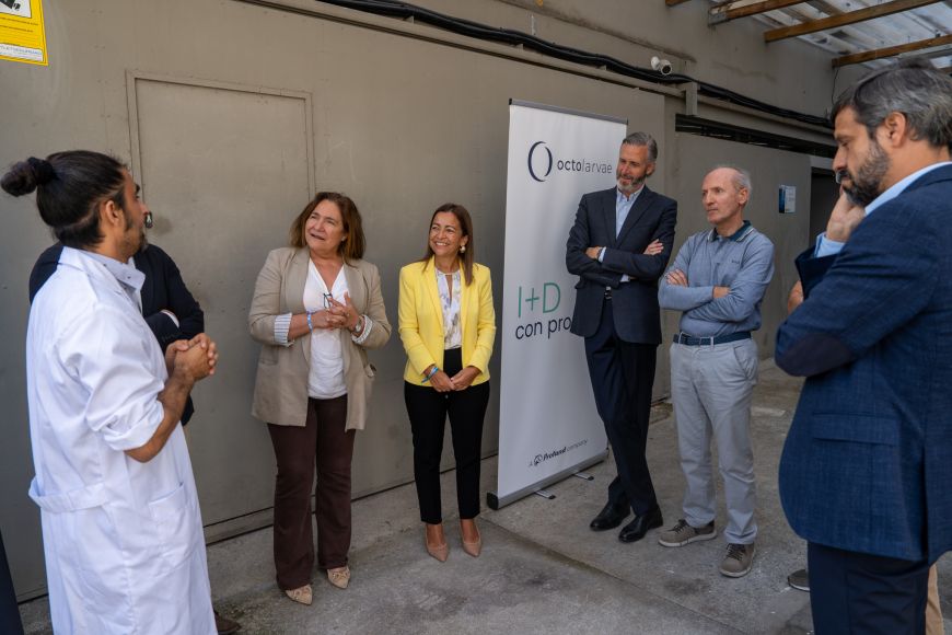 Octolarvae, ejemplo de diversificación hacia modelos que combinan acuicultura, preservación de los ecosistemas marinos y rentabilidad económica