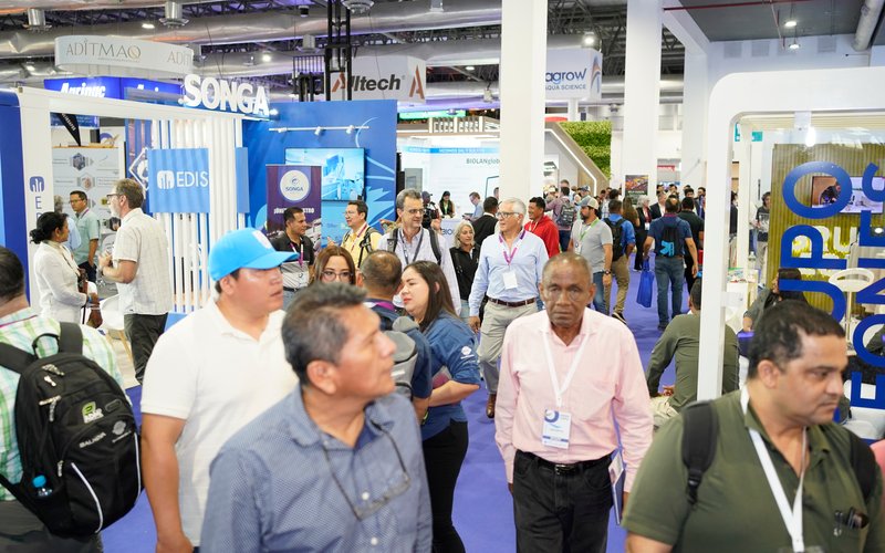 Ecuador, epicentro del camarón mundial y sede de AquaExpo 2025