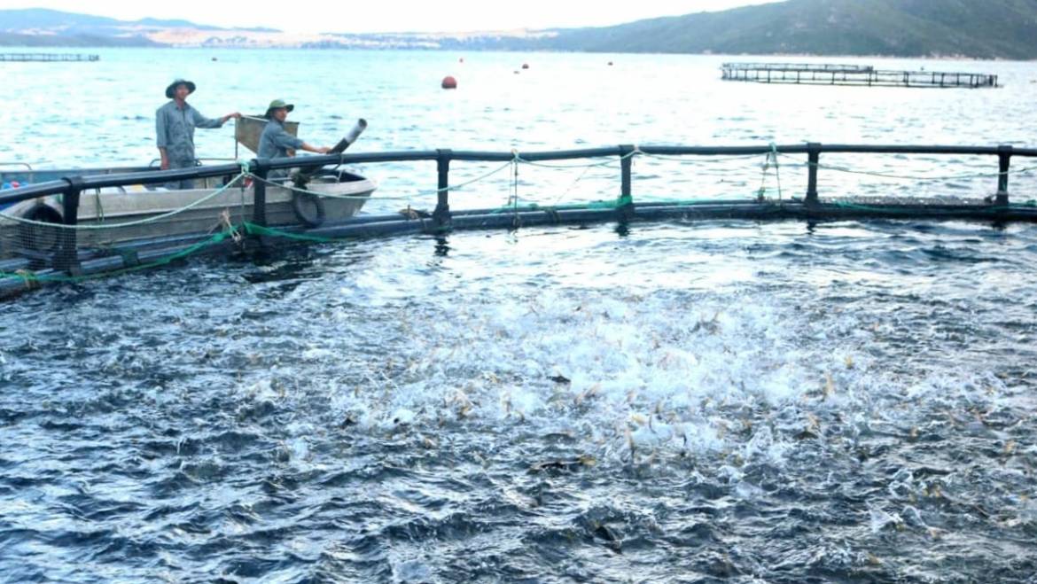 Acuicultura de alta tecnología: Liberando el potencial, superando los desafíos