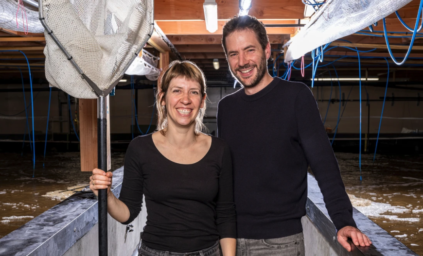Lisaqua ha recaudado 9 millones de euros para desarrollar en Francia la primera granja camaronera industrial de bajo impacto