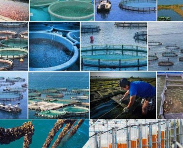 El presente y futuro de la acuicultura en Portugal a análisis y debate en ENAQUA 25