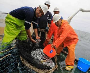 Perú fija la cuota definitiva de pesca de anchoveta para la segunda temporada en la zona norte-Centro de Perú en 1,63 millones de toneladas