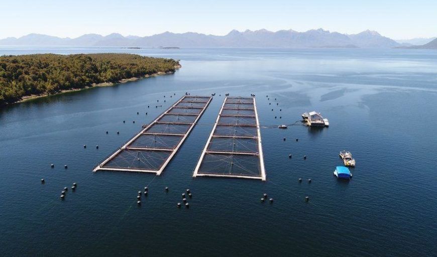 INCAR², reconocido como Centro de Investigación Aplicada de la ANID, liderará el fortalecimiento de la acuicultura en Chile