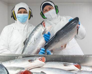 Informe sectorial confirma aumento de participación femenina en pesca y acuicultura