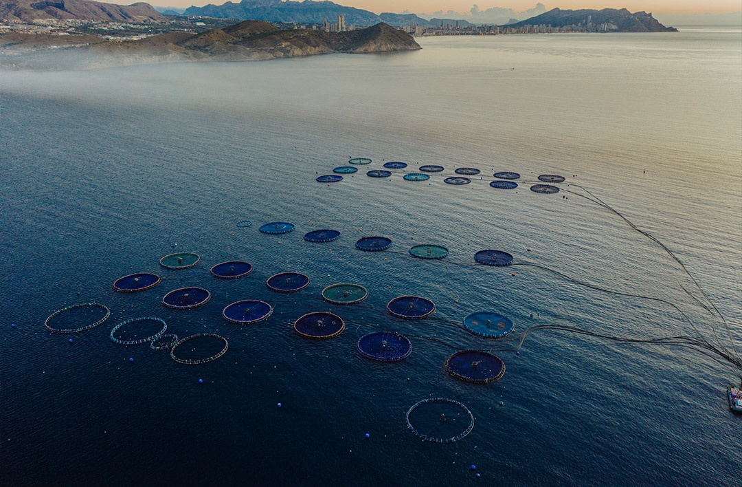 La acuicultura de España pone rumbo a un mar de oportunidades en 2030