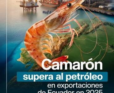 En 2025, las exportaciones de camarón de Ecuador alcanzaron USD 7.685 millones, superando a las de petróleo (USD 6.494 millones), según cifras oficiales del Banco Central del Ecuador.