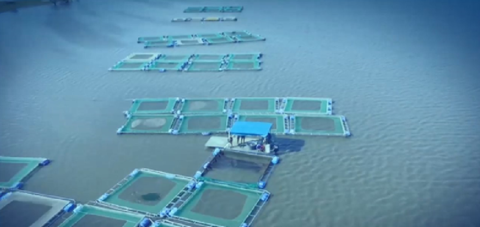 Convocatoria Innovagro: oportunidad para proyectos de innovación en pesca y acuicultura