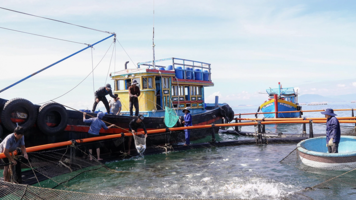 Superar los obstáculos para expandir la acuicultura de alta tecnología