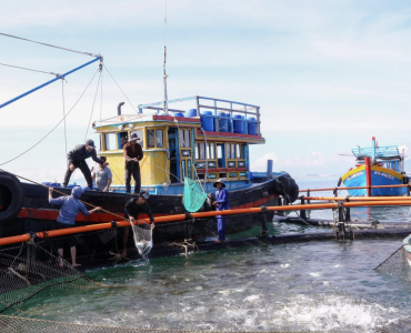 Superar los obstáculos para expandir la acuicultura de alta tecnología