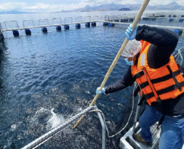 La pieza que faltaba para la acuicultura peruana