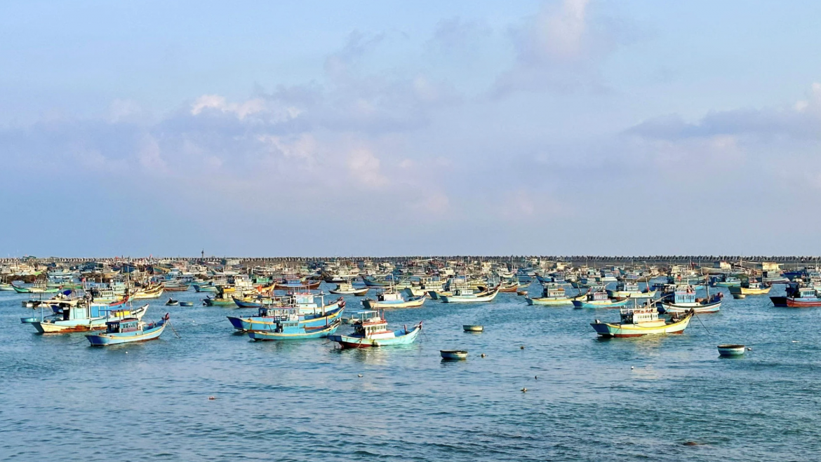 Acuicultura costera: una vía para el desarrollo de la economía marina