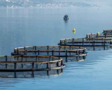 La Comisión lanza un documento de trabajo sobre cómo se puede reducir la huella de carbono en la acuicultura