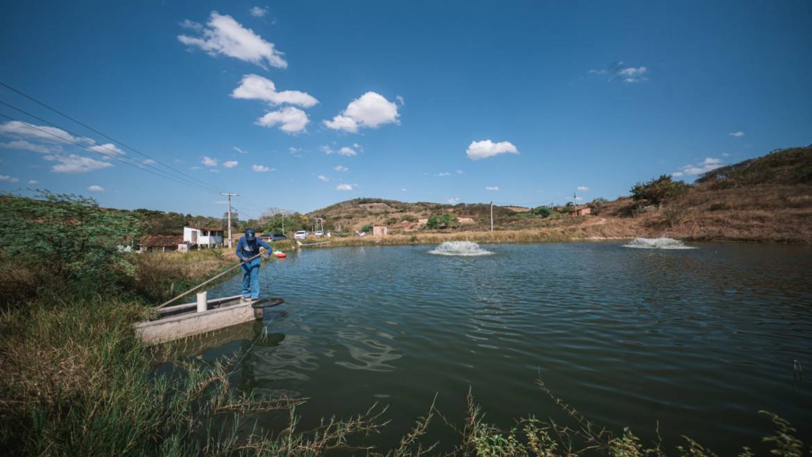 Cultivar camarón en tierra seca: una estrategia que transforma medios de vida en Brasil