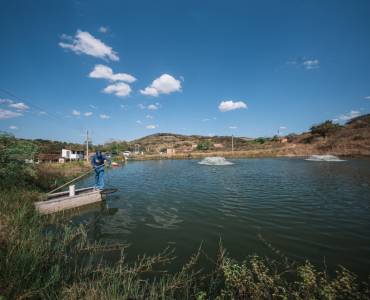 Cultivar camarón en tierra seca: una estrategia que transforma medios de vida en Brasil