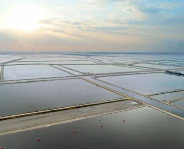 Nutreco amplía su ecosistema inteligente Eruvaka ante el impacto de la volatilidad de los precios sobre los productores de camarón