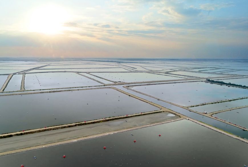Nutreco amplía su ecosistema inteligente Eruvaka ante el impacto de la volatilidad de los precios sobre los productores de camarón
