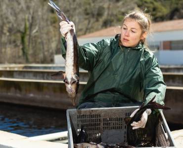La acuicultura supera por primera vez los 100 millones de toneladas y consolida su liderazgo en el suministro mundial de pescado