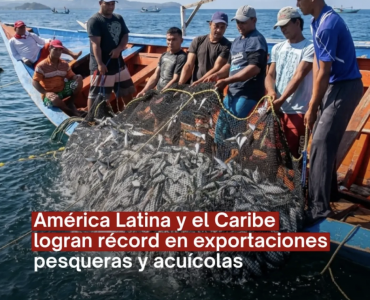 América Latina y el Caribe logran superávit y se consolidan como una potencia clave en la exportación de productos pesqueros y acuícolas