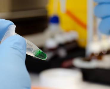 Un estudio plantea reutilizar un alga invasora en piensos para acuicultura