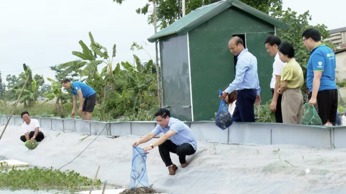 La comuna de Ung Hoa está explorando formas de aumentar el valor de la acuicultura