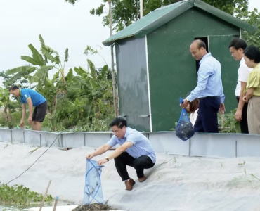 La comuna de Ung Hoa está explorando formas de aumentar el valor de la acuicultura