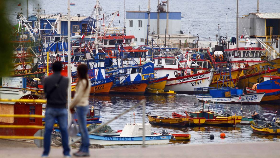 Acuicultura y exportaciones aportan señales positivas al sector pesquero y acuícola en un escenario de alta variabilidad oceanográfica