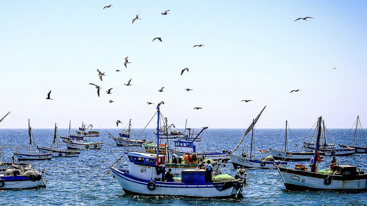 Fenómeno El Niño: Gobierno aprueba disposiciones para continuidad de pesca y acuicultura