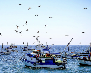 Fenómeno El Niño: Gobierno aprueba disposiciones para continuidad de pesca y acuicultura