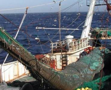 Cómo la harina de pescado impulsa la acuicultura global y traslada la contaminación y la sobreexplotación a comunidades costeras